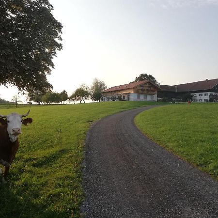 Ferienwohnung Sonnenhub Irschenberg Exterior foto